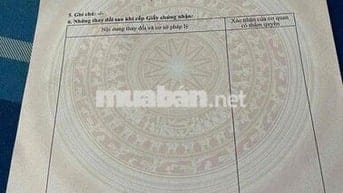 đất phường Tân Hoà 6x20 đối diện chợ đầu mối hẻm thông Trần Kiên