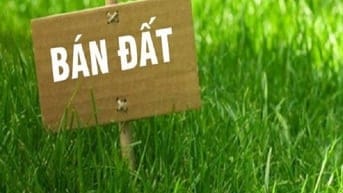 Bán đất kinh doanh mặt phố Đỗ Nhuận, gần chợ đầu mối Xuân Đỉnh