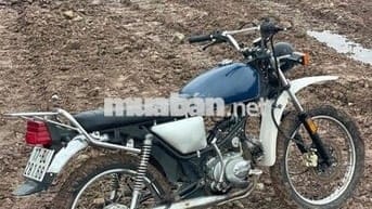 bán win detech độ dáng cào cào