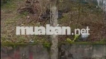 Đất ở đô thị phường Điện Bàn Đông