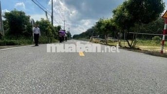 MT Bùi Thị Điệt 11x15 Thổ 100% 1tỷ450tr, sổ riêng,Nhựa 9m, vay hết đất