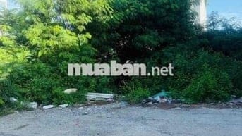 🌺Cần bán nền đất Mặt tiền đường Võ văn kiệt- Phường A