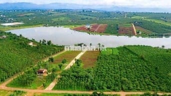 BÁN ĐẤT VIEW HỒ PHÚC HƯNG – LÂM HÀ, LÂM ĐỒNG
