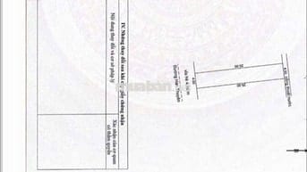 Bán đất tặng kèm dãy trọ đường 7m5 Hòa cường