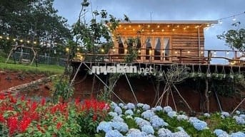 Bán lỗ nhanh lô đất 2946m2 giá 688 Triệu view săn mây Phường 11 Đà Lạt