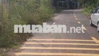 3640m2 P. Uyên Hưng, đường nhựa thông 6m, giá ngộp