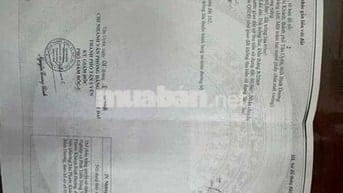 Bán gấp đất mặt tiền nhựa thông buôn bán