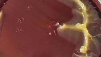 Hàng Chuẩn Mỡ Mobil Mobilux EP2 