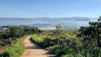 Chủ kẹt tiền cần bán mảnh đất view sông đẹp xã Tân Nghĩa, Lâm Đồng.