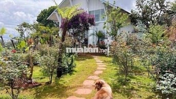 Định cư nước ngoài bán lỗ gấp lô 322m2 giá 689triệu sẵn nhà Phường 11