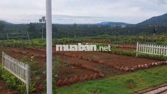 Bán gấp lô đất nền gần quốc lộ 20, Lâm Đồng