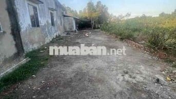 ĐẤT VƯỜN (5x27), ĐƯỜNG OTO, HIỆP PHƯỚC, NHÀ BÈ, CHỈ NHỈN 1 TỈ Ngày đă