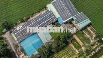 Cho thuê Xưởng sản xuất đa ngành 2500 m2 Củ Chi