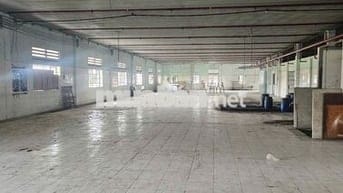 Cho thuê kho xưởng 2.500m2 xã Thái Mỹ, Củ Chi, PCCC tự động thẩm duyệt
