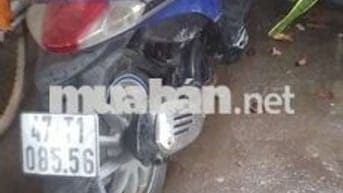 Xe máy Piaggio Vespa màu xanh dương