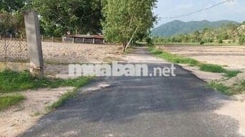 Bán đất sổ đỏ phường Tân Phước Vũng Tàu