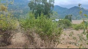 BÁN ĐẤT GIÁ RẺ 2.000m² – CAM PHƯỚC ĐÔNG, TP. CAM RANH, KHÁNH HÒA 