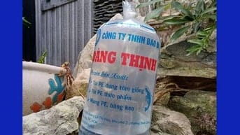 TÚI ĐỰNG CÁ GIỐNG Giải Pháp Đóng Gói, Vận Chuyển Cá An Toàn & Hiệu Q