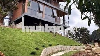 🌿Vườn đồi 2400m² Đồng Nai, Không gian sống xanh yên bình chỉ 850tr/sào