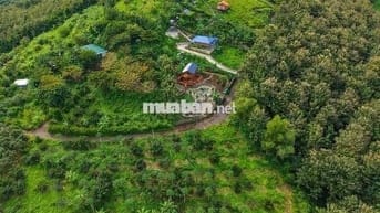 🏞️ Săn mây giữa Định Quán – Vườn giáp suối 1005m² view hồ Trị An 🌿