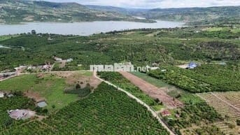 ĐẤT THỔ CƯ DI LINH  -  GẦN CHỢ ĐINH LẠC - 75M2 - CHỈ 275 TRIỆU