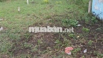 Chính chủ cần bán gấp lô đất thổ cư Lộc Tiền, Mỹ Lộc, Cần Giuộc