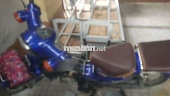 Cub dọn kiểng.  Đẹp ken