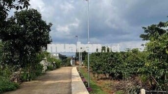 🌿 BÁN ĐẤT THANH BÌNH (BÌNH THẠNH CŨ) – GIÁ CHỈ 580 TRIỆU 🌿