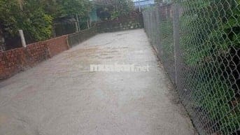 💥Bán đất 3MT đường Bình Thái 4 - Hoà Thọ Đông- Cẩm Lệ - Đà Nẵng