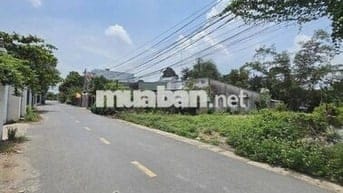 Cần sang nhanh 500m2 đất MT DH519 đường nhựa 32m giá rẻ