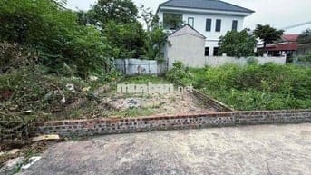 SÁT ĐƯỜNG DẪN CẦU TỨ LIÊN- NGÕ NÔNG- Ô TÔ VÀO