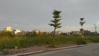 Chính chủ bán vài lô khu tam giác phù khê-từ sơn