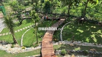 🌿Đất Vườn View Hồ TRỊ AN 3000m² Cảnh Yên Bình, Giá Chỉ 1.1 Triệu/m²🌿