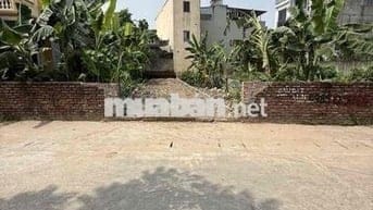 ĐẤT HIẾM - SỔ ĐẸP - KINH DOANH - Ô TÔ TẢI TRÁNH