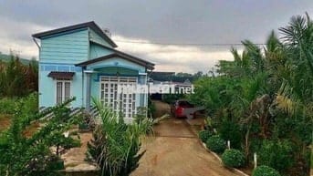 Chuyển nhà bán lỗ gấp lô 20x48m, 960m2 giá 300triệu có sẵn nhà cấp 4