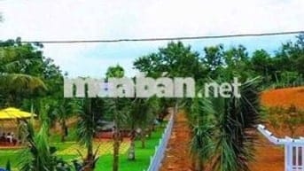 🏳️‍🌈 ĐẤT LÀM NHÀ VƯỜN Ở BUÔN MÊ THUỘT 🏳️‍🌈