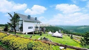 Nợ nần cần bán lỗ nặng lô 900m2 giá 300triệu tặng nhà và sân vườn đẹp