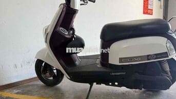 cần bán hoặc gl sang xe số