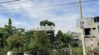 🧧 BÁN : TRƯƠNG MINH KÝ ( 10,5M )