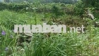 Hot ! Nhỉnh 20tr/m2 có lô đất Định Công Hạ-Oto 40m-Lô góc-70m;MT5m