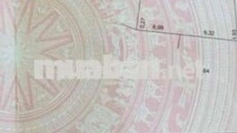 Bán 310m full thổ cư Văn Giang