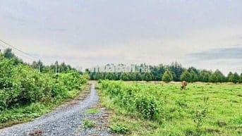 Hơn 1000m2 đường thông. Ngay KCN Phước Đông. 850tr