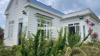 Homestay nhà vườn 7317,6m² full cây ăn trái, gần chợ Lộc Thành Bảo Lâm