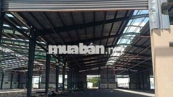 Cho thuê kho xưởng mới 2.240m2, KCN Tân Kim, Long An, PCCC tự động