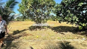 🌳 BÁN 2 LÔ ĐẤT VƯỜN 700M² CHỈ 850 TRIỆU/LÔ – NGAY CHỢ TRẢNG BÀNG, TÂY