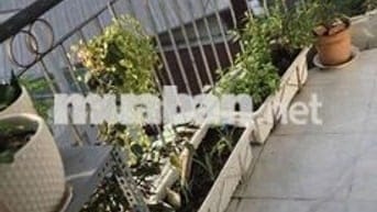 Phòng 1 ng ở gần đại học bách khoa lý thường kiệt