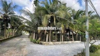 Đất Ngộp Sát Cv Võ Văn Tần 5x25m giá 680tr