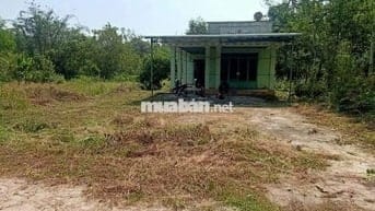 Nhà cấp bốn, xã Định Hiệp, huyện Dầu Tiếng, diện tích 778m2, có thổ cư