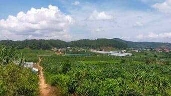 Cẩn bán gấp đất vườn tại xã phú sơn 