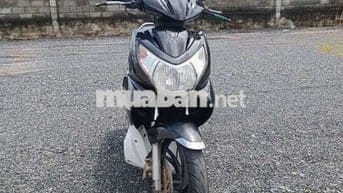 Xe chuẩn ko cần chỉnh